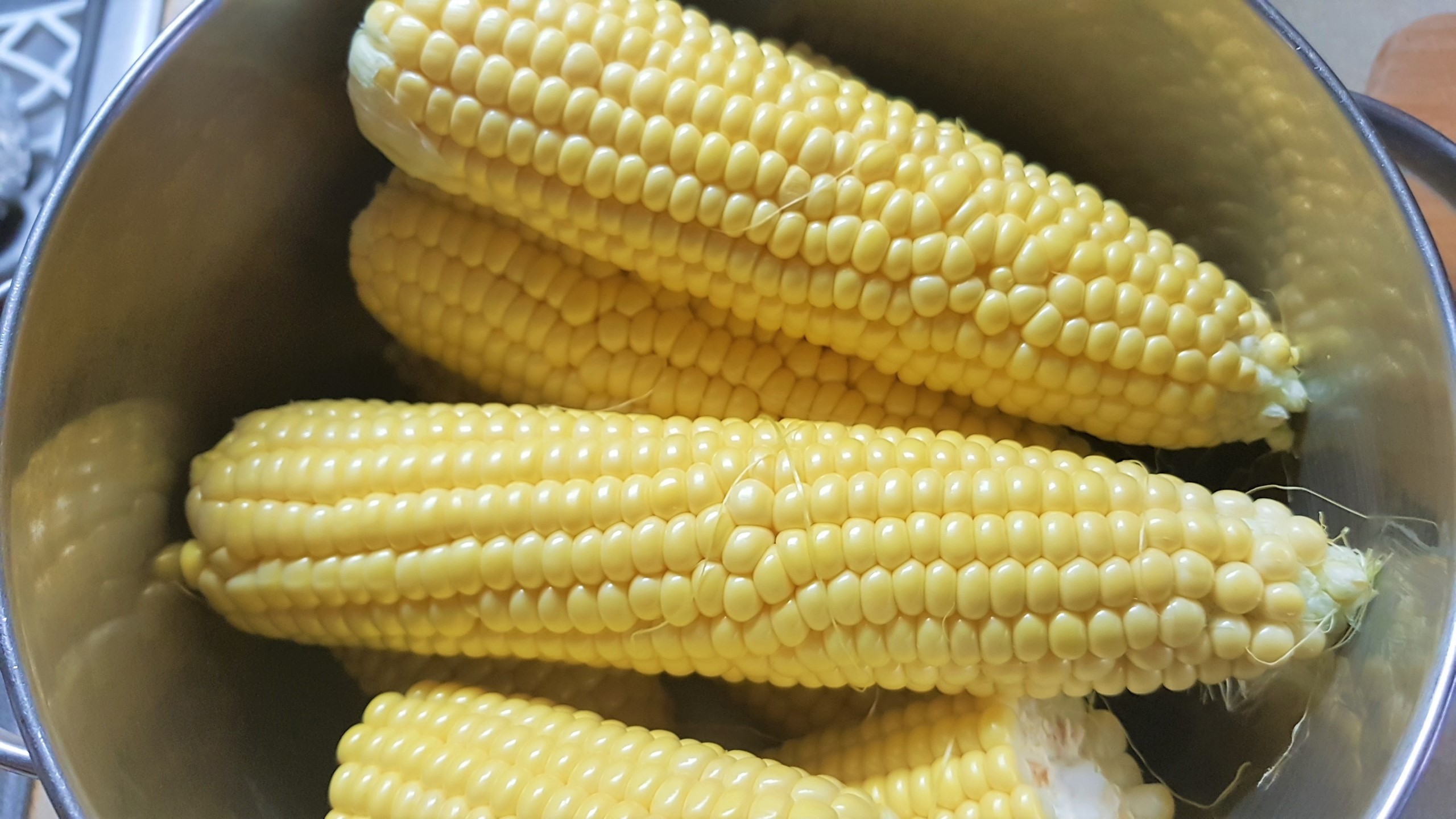 Salata poloneza, cu fasole galbena, boabe de porumb si carnat polonez