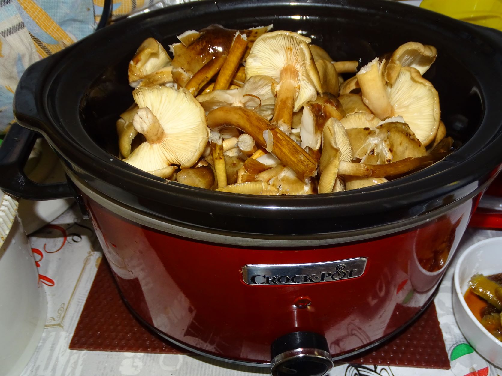 Ghebe gatite la slow cooker Crock Pot